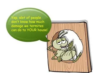Termites Making a Meal of Your New Orleans Home?