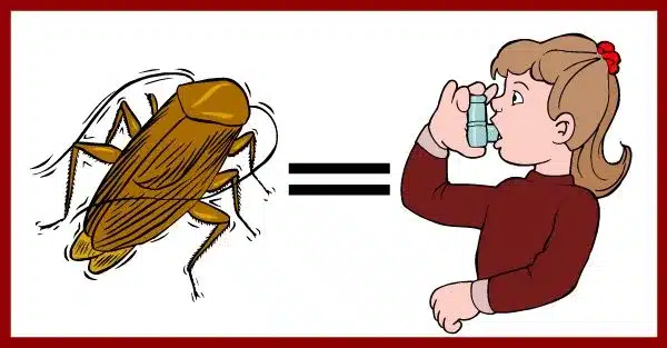 The Truth About Cockroaches and Asthma