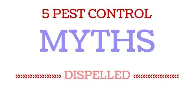 5 Pest Control Myths Busted