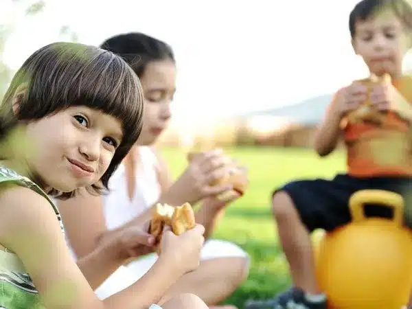 7 Ways to Keep Ants Away from Your Picnic
