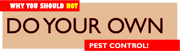 Should You Do Your Own Pest Control?