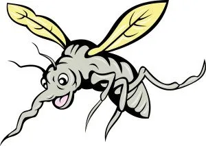 Hot Weather + Heavy Rain = New Orleans Mosquitoes